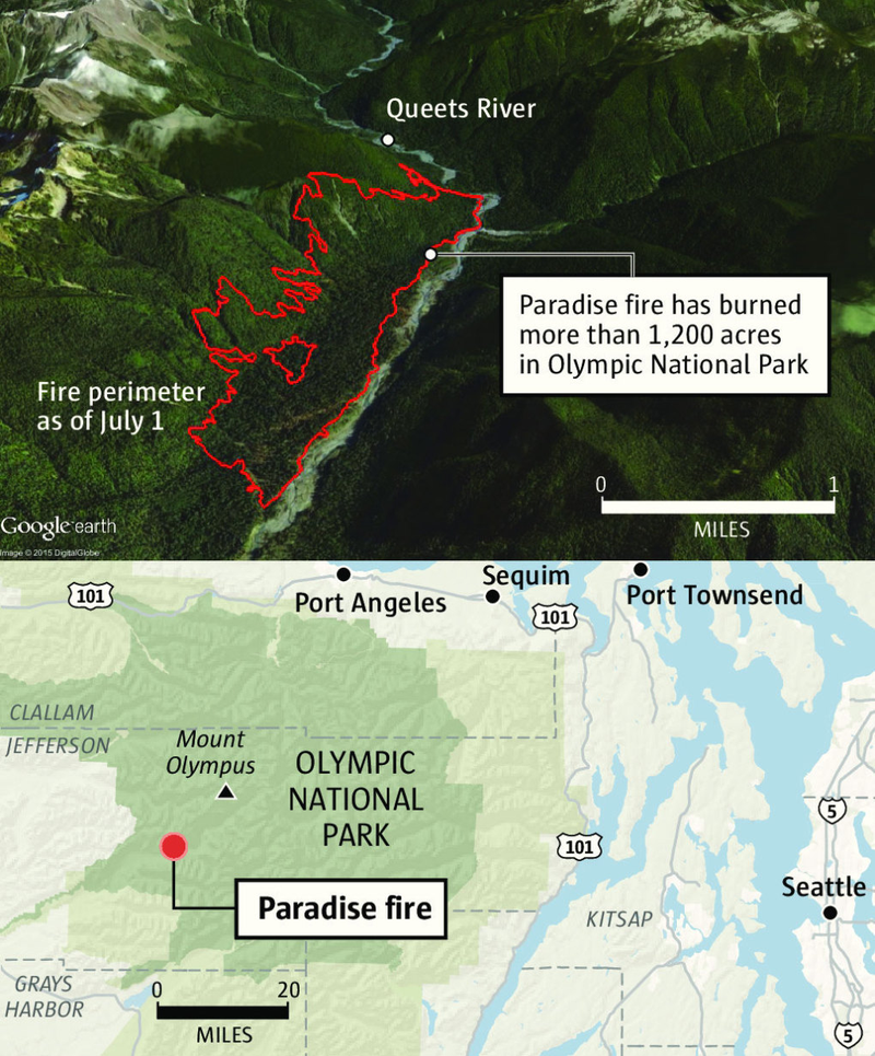 Illustration for article titled It's So Dry Even America's Old Growth Rainforests Are on Fire